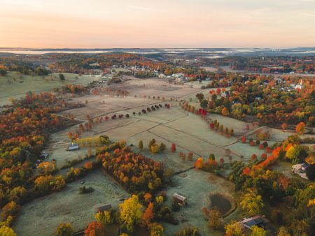 FOLIAGE IN GROTON, MA Sale