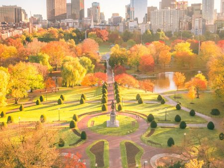 Photo of Boston Common during foliage peak on Glossy Canvas On Stretcher Frame, 60x48′′ Fashion