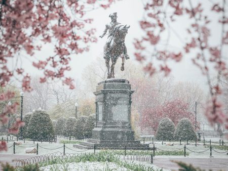 APRIL SNOW IN BOSTON PUBLIC GARDEN Online